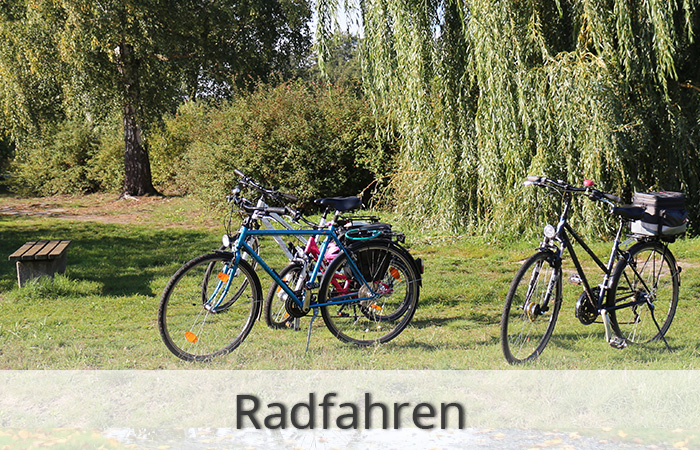 Radfahren im Spreewald