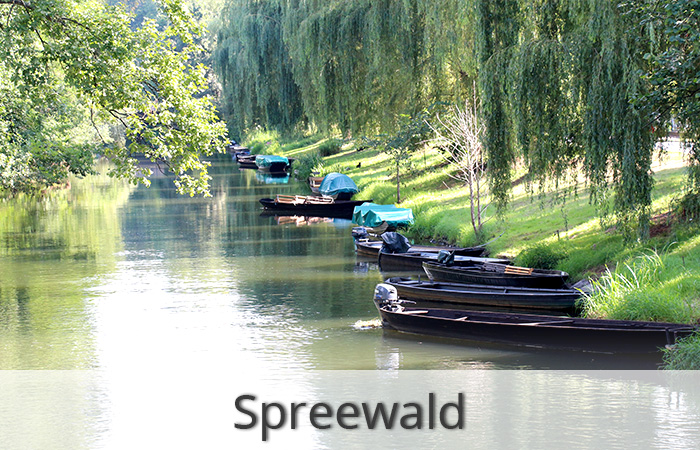 Spreewald