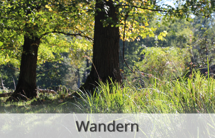 Wandern im Spreewald